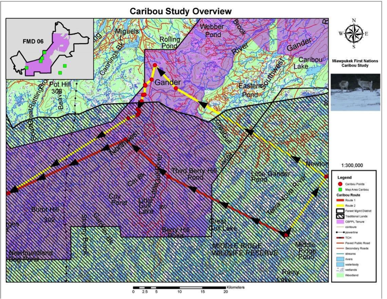 Miawpukek Traditional Land Use Study Final Report Indigenous